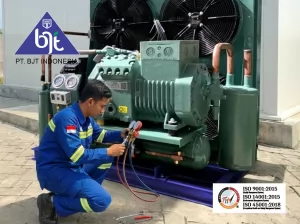 Pemeliharaan Cold Room: Cara Menjaga Performa Optimal dan Mencegah Kerusakan